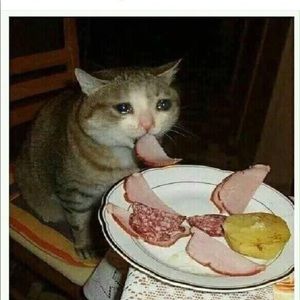 Meet your Posher, Aziz